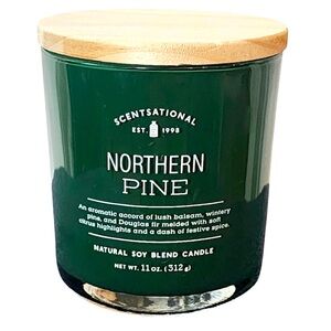 NWT Scentsational Northern Pine 11 Oz Candle
